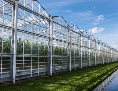 Afstand voorkomt ‘samenstel van eigendommen’ voor WOZ